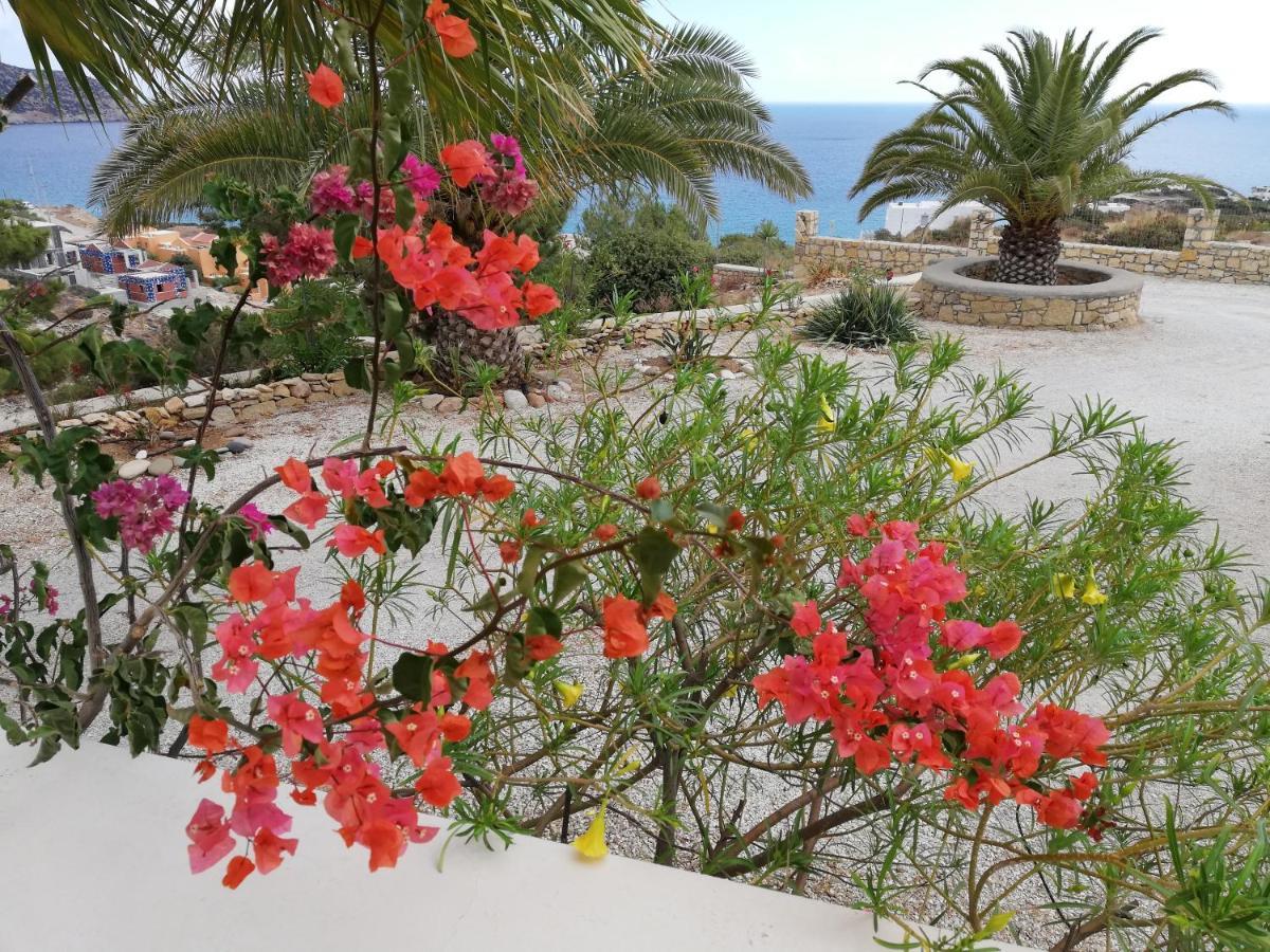 Tranquil Villa With Sea View In Ammopi Karpathos Amoopi Exteriör bild